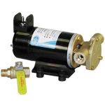 Jabsco 17830 Series Reversible Bronze DC Pump | Blackburn Marine Oil Change Pumps